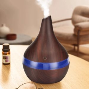 Humidificateur d'air électrique portable